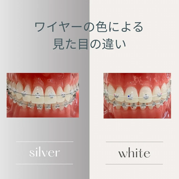画像273