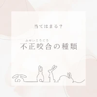 画像295