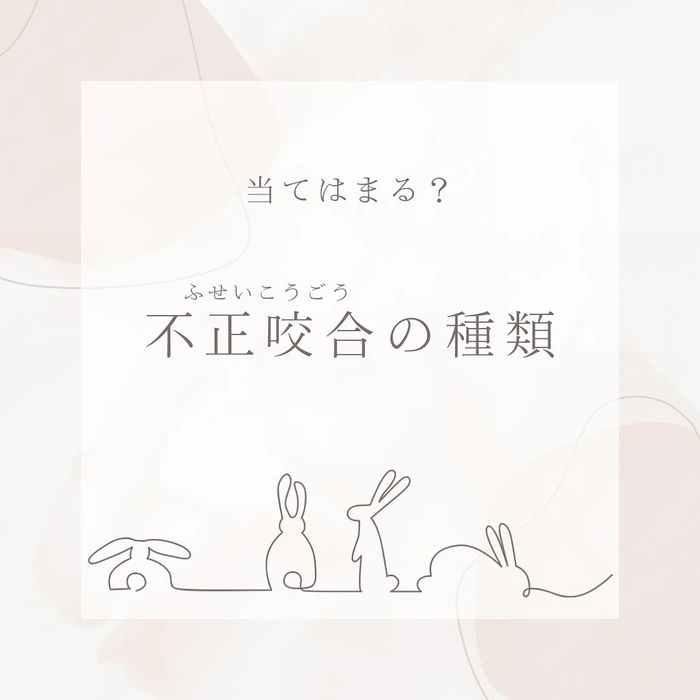 画像295