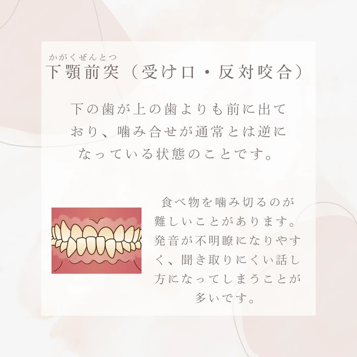 画像298