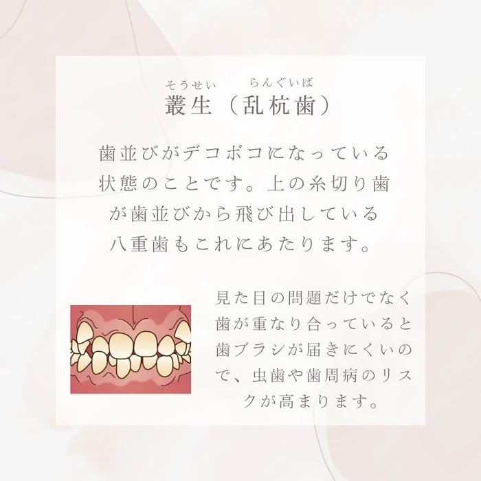 画像299