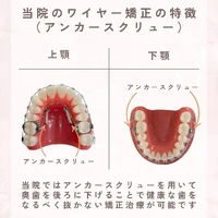 画像323