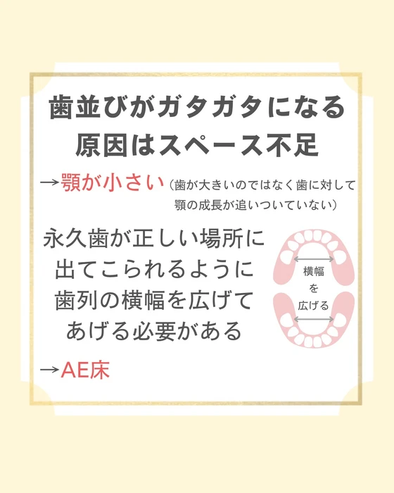 画像495