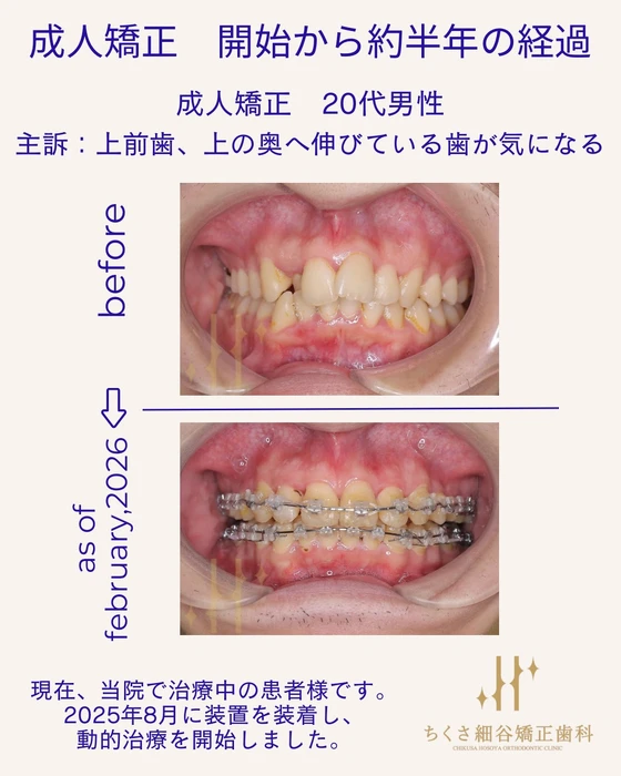 画像516