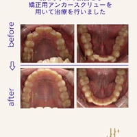 画像538