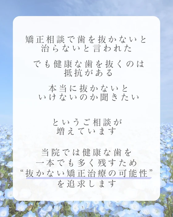 画像551
