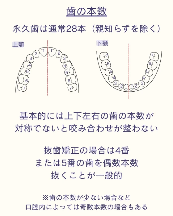 画像585