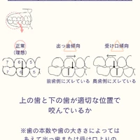 画像611
