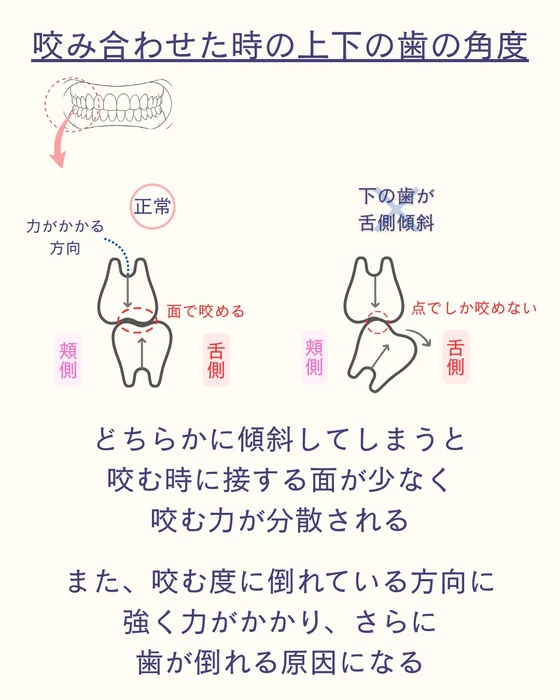 画像644