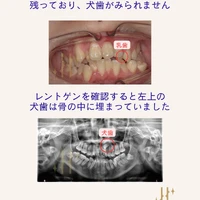 画像661