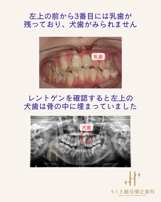 画像661